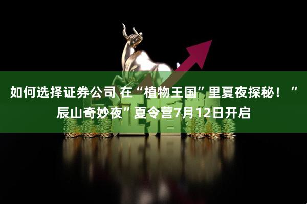 如何选择证券公司 在“植物王国”里夏夜探秘！“辰山奇妙夜”夏令营7月12日开启