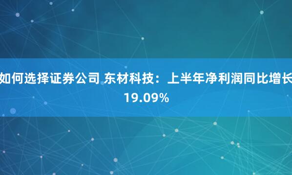 如何选择证券公司 东材科技：上半年净利润同比增长19.09%